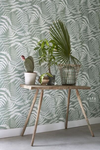 wallpaper ferns mint green