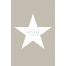 wall mural star taupe