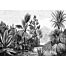 wall mural tropical landscape black and white
