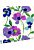 wallpaper poppies purple and turquoise