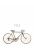 wall mural old bicycle white, brown and beige