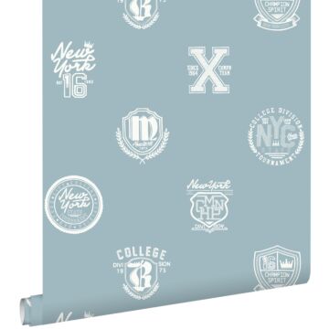 wallpaper school emblems light vintage blue