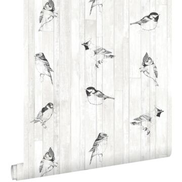 wallpaper pen drawn birds on wooden planks from reclaimed vintage wood black and matt white