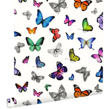 wallpaper butterflies multicolor