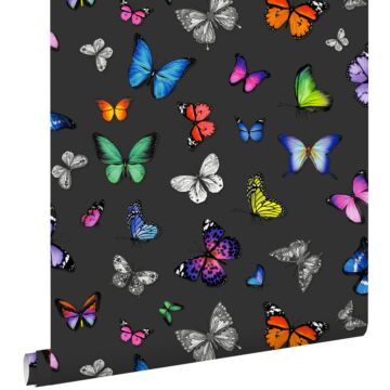 wallpaper butterflies multicolor on black