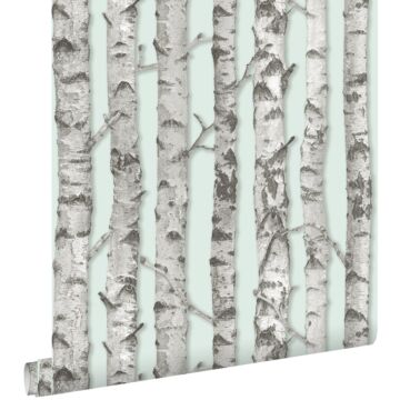 wallpaper birch trunks mint green and warm gray