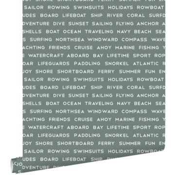 wallpaper maritime beach texts grayish green