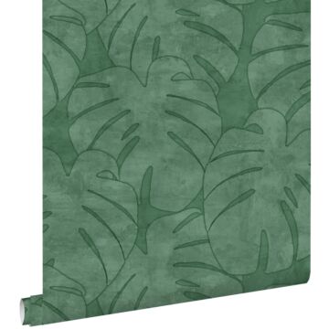 wallpaper monstera leaves dark green