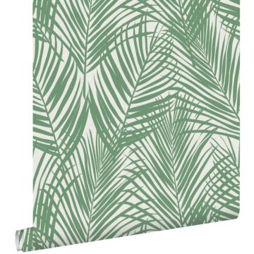 wallpaper palm leaves jade green