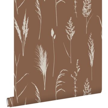 wallpaper pampas grass rust brown