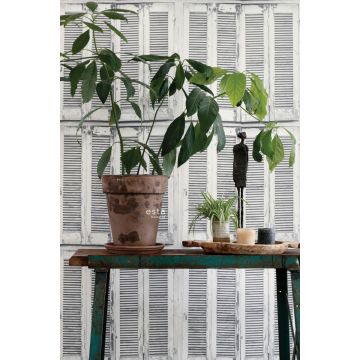 wallpaper weathered wooden French vintage louvre shutters light warm gray and matt white