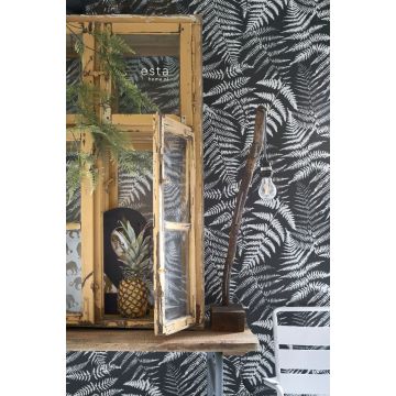 wallpaper ferns black and white