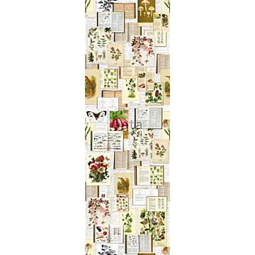 wall mural botanical beige, green and pink