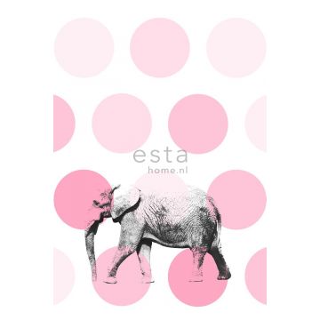 wall mural elephant pink