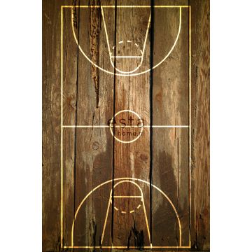 wall mural basketball court brown