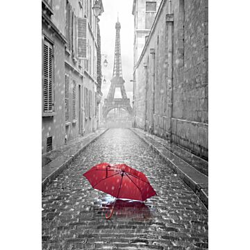 wall mural Paris black and white with red umbrella gray and red