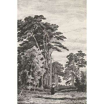 wall mural wooded landscape black and white