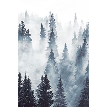 wall mural foggy forest green